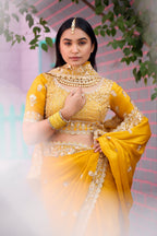 Resham Raaj Fandy Satin Embroidered Saree with Designer Blouse