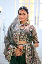 Mohini Moss Shimmer Embroidered Saree with Designer Blouse