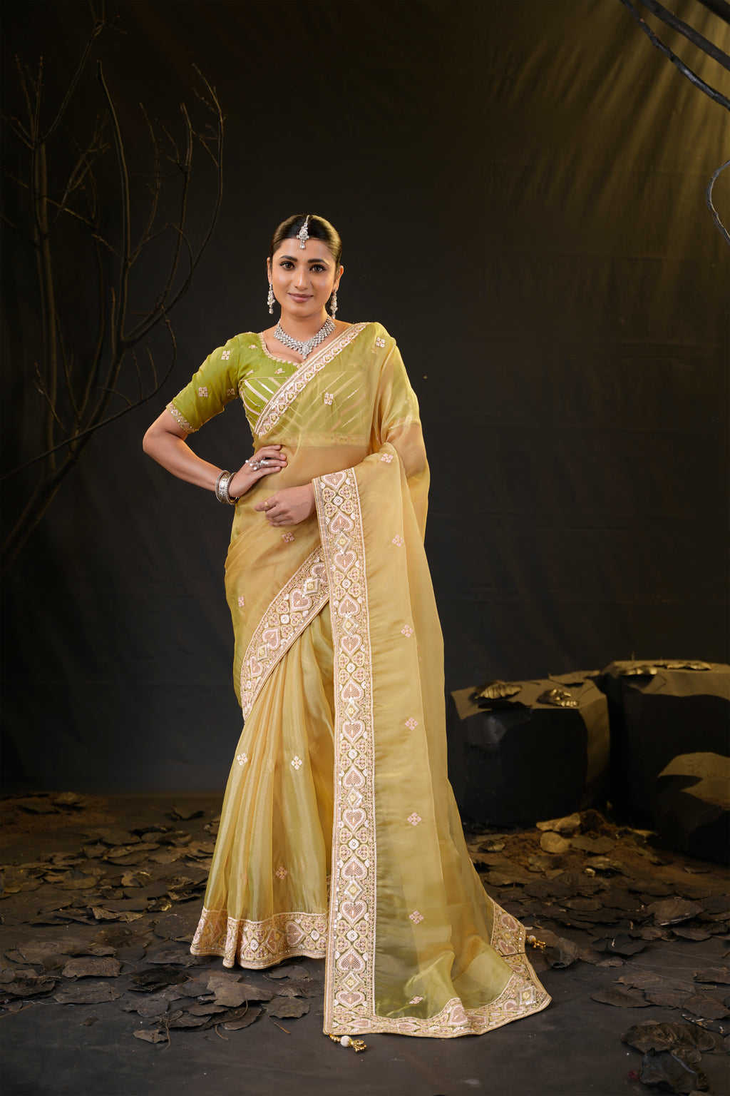 Anamika Organza Saree with Heavy Embroidered Border | Available in 4 Colours