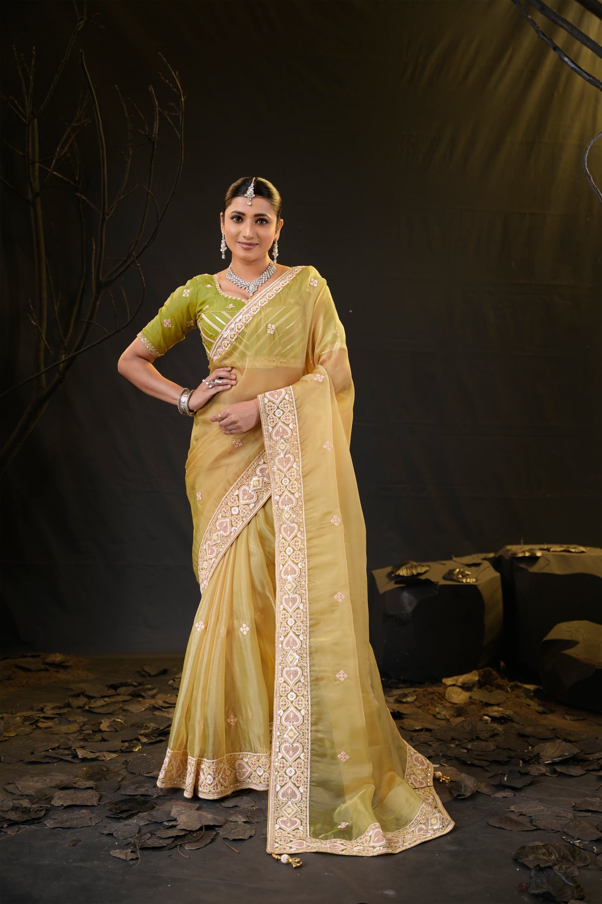 Anamika Organza Saree with Heavy Embroidered Border | Available in 4 Colours