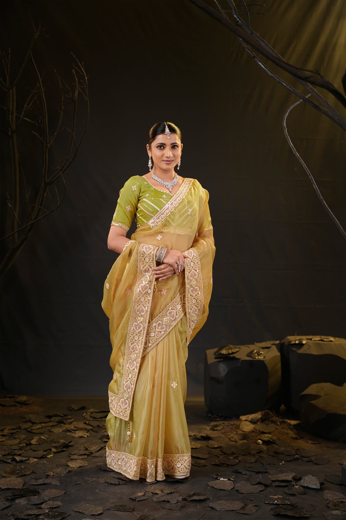 Anamika Organza Saree with Heavy Embroidered Border | Available in 4 Colours