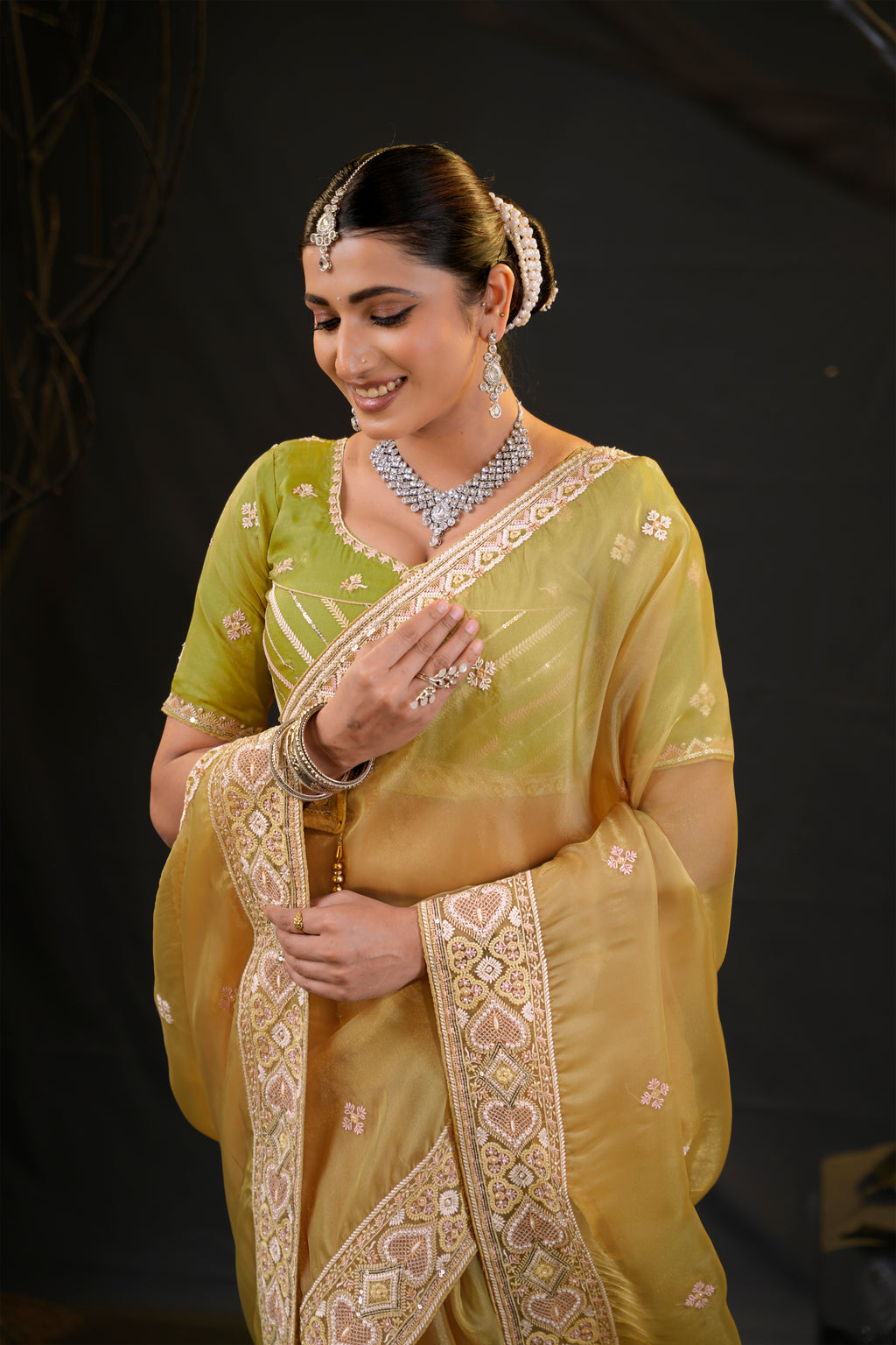 Anamika Organza Saree with Heavy Embroidered Border | Available in 4 Colours