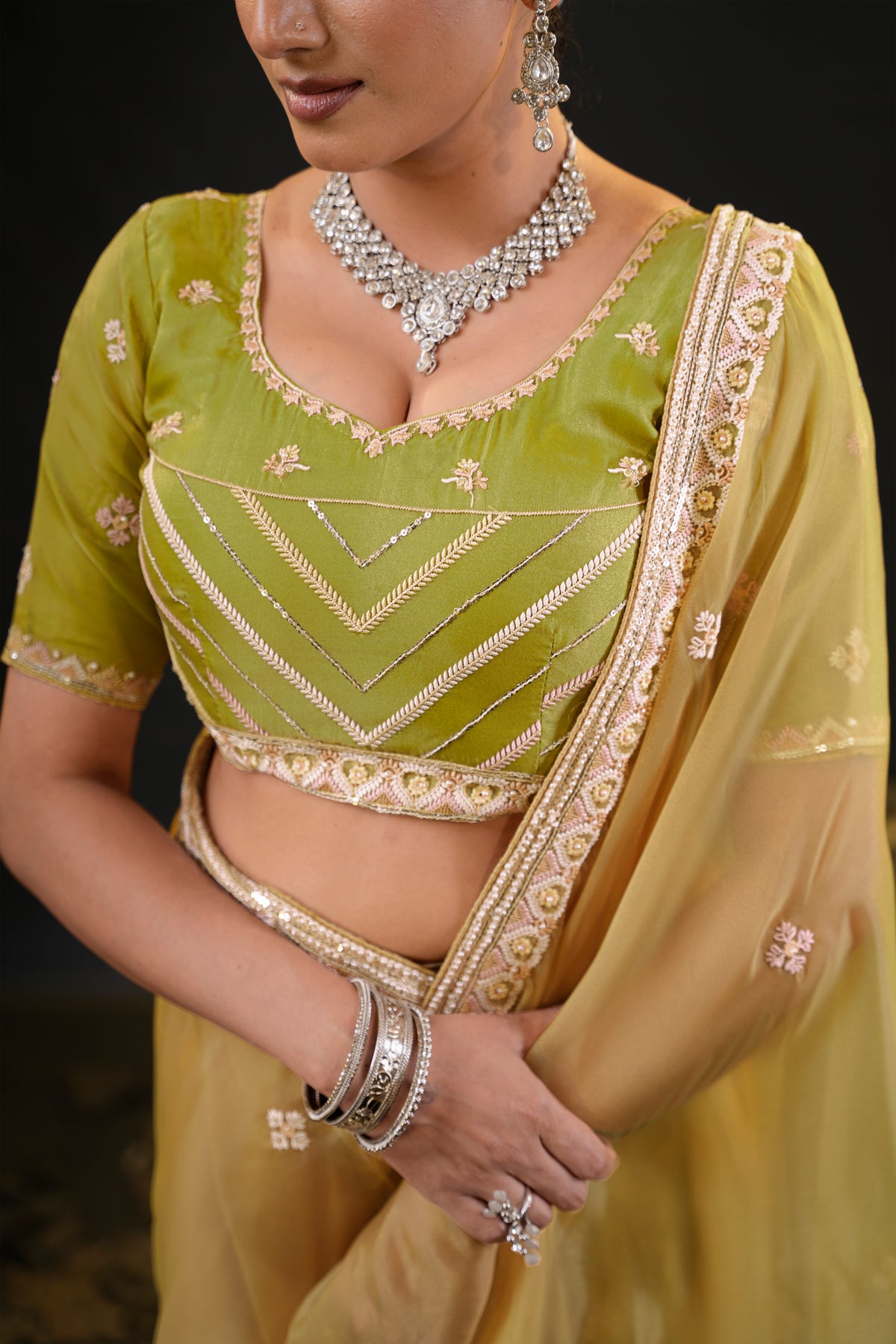 Anamika Organza Saree with Heavy Embroidered Border | Available in 4 Colours