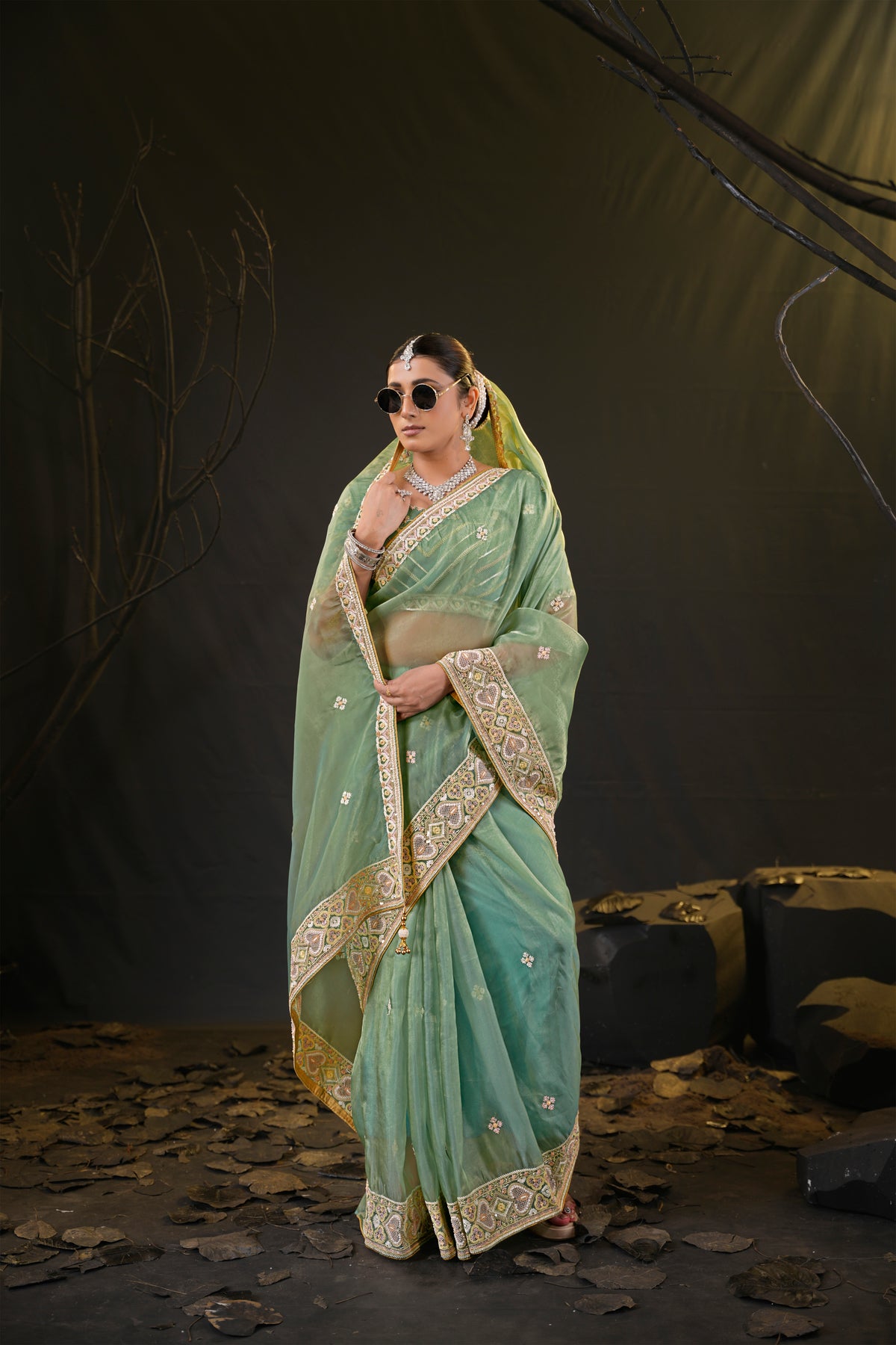 Anamika Organza Saree with Heavy Embroidered Border | Available in 4 Colours
