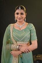 Anamika Organza Saree with Heavy Embroidered Border | Available in 4 Colours