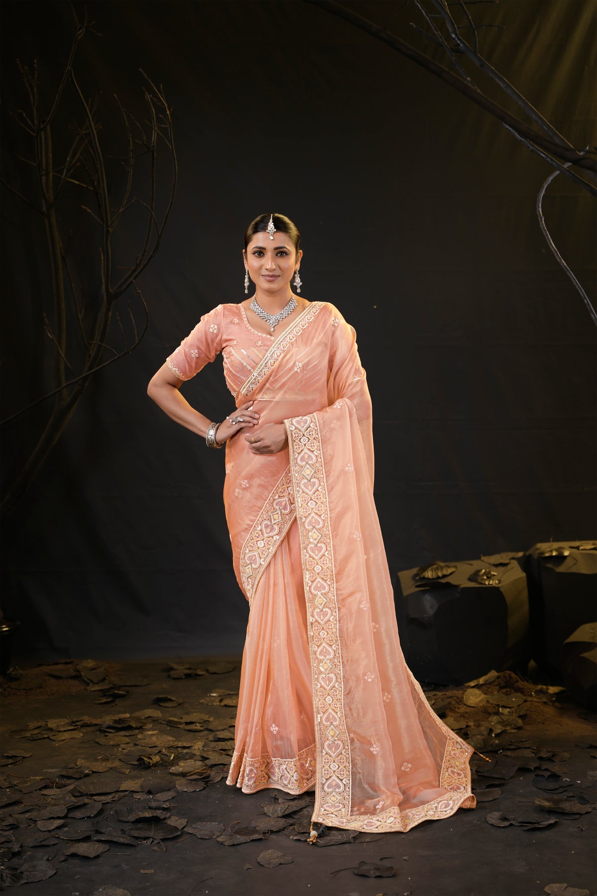 Anamika Organza Saree with Heavy Embroidered Border | Available in 4 Colours
