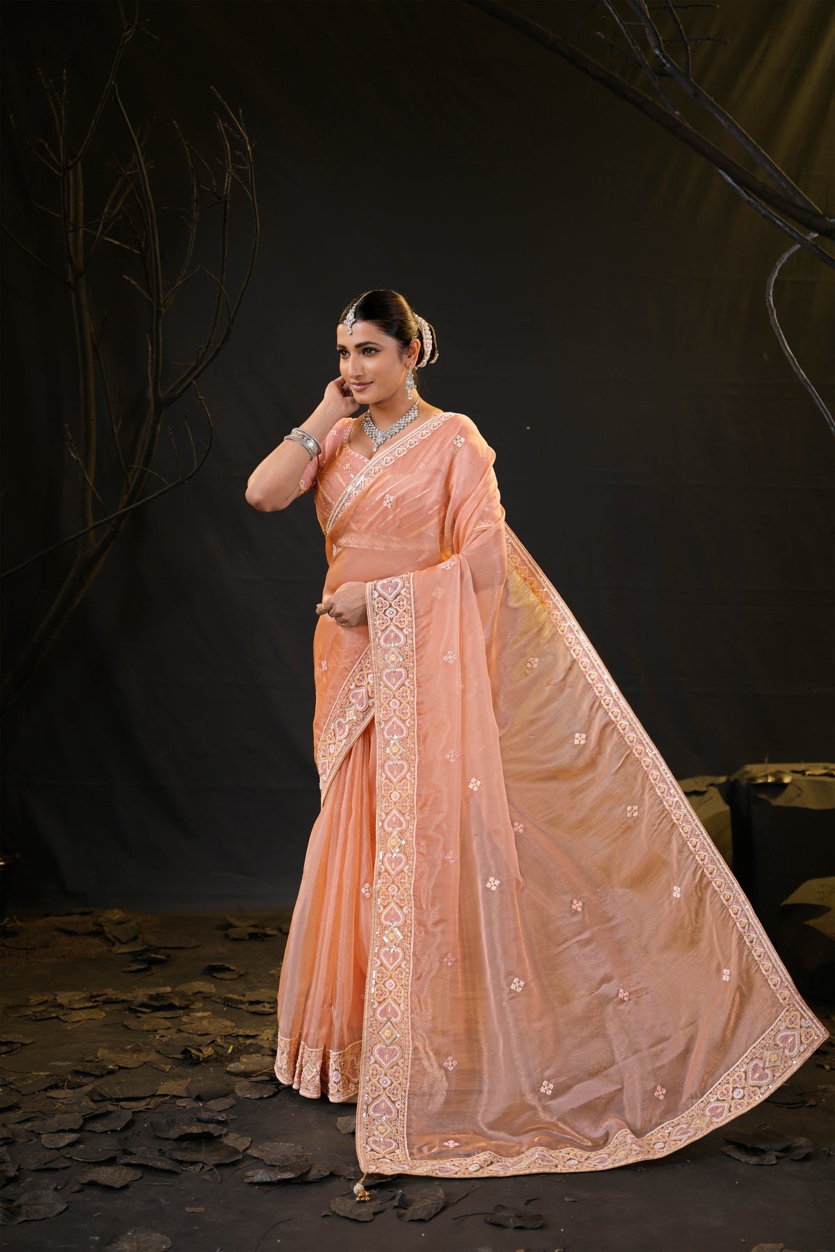 Anamika Organza Saree with Heavy Embroidered Border | Available in 4 Colours
