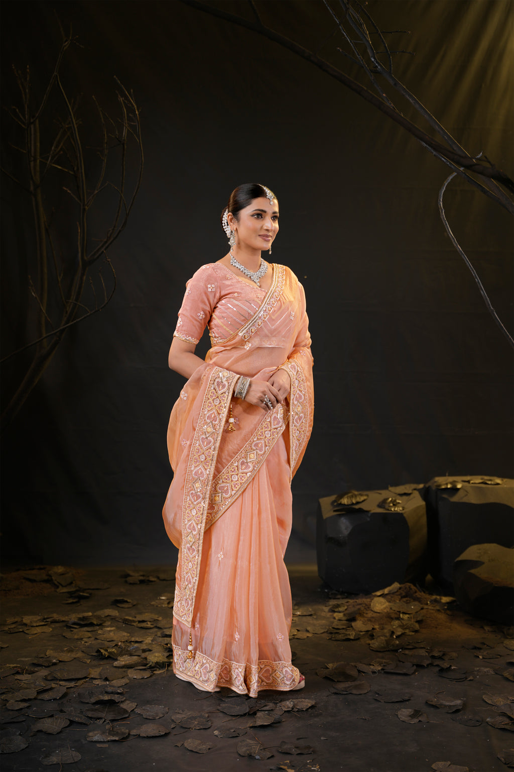 Anamika Organza Saree with Heavy Embroidered Border | Available in 4 Colours