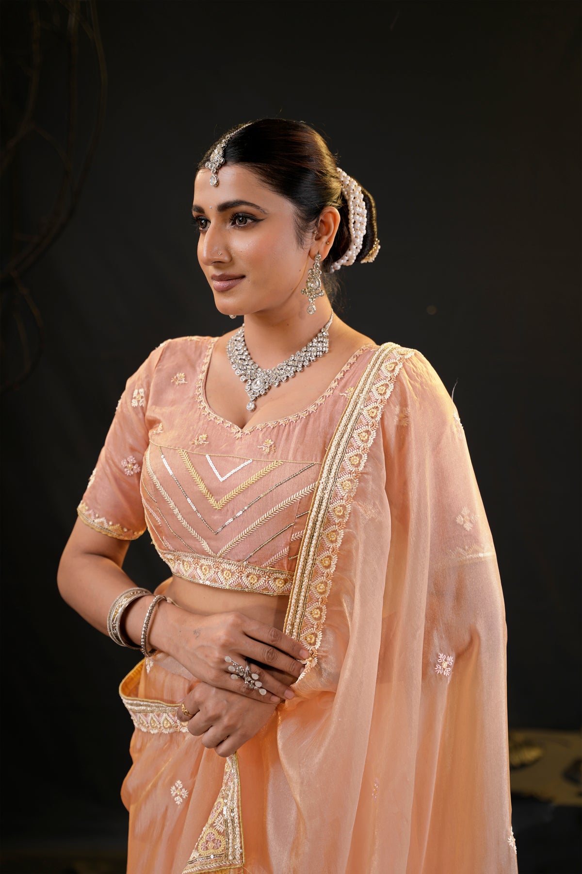 Anamika Organza Saree with Heavy Embroidered Border | Available in 4 Colours