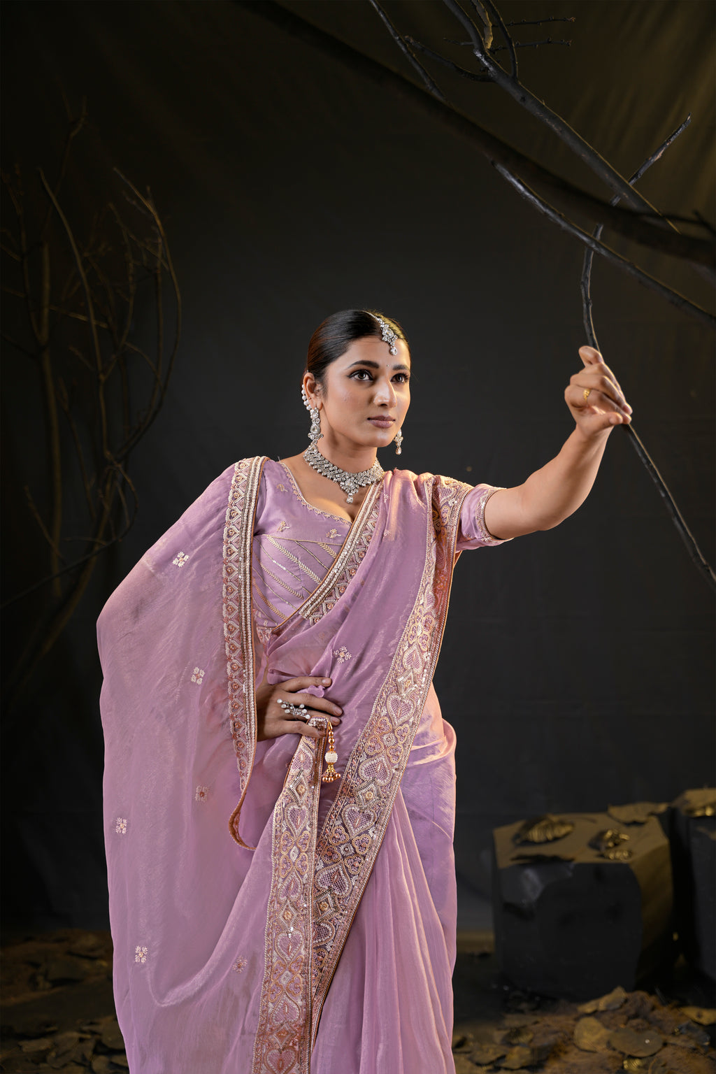Anamika Organza Saree with Heavy Embroidered Border | Available in 4 Colours