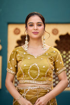 Chanda Saree – Sequin & Cutdana Jaal Work