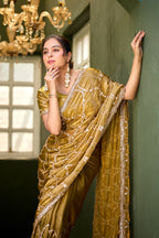 Chanda Saree – Sequin & Cutdana Jaal Work