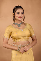 Khwahish 2 — Embroidered Tissue Saree