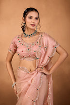 Riwaayat — Embroidered Glory Tissue Saree