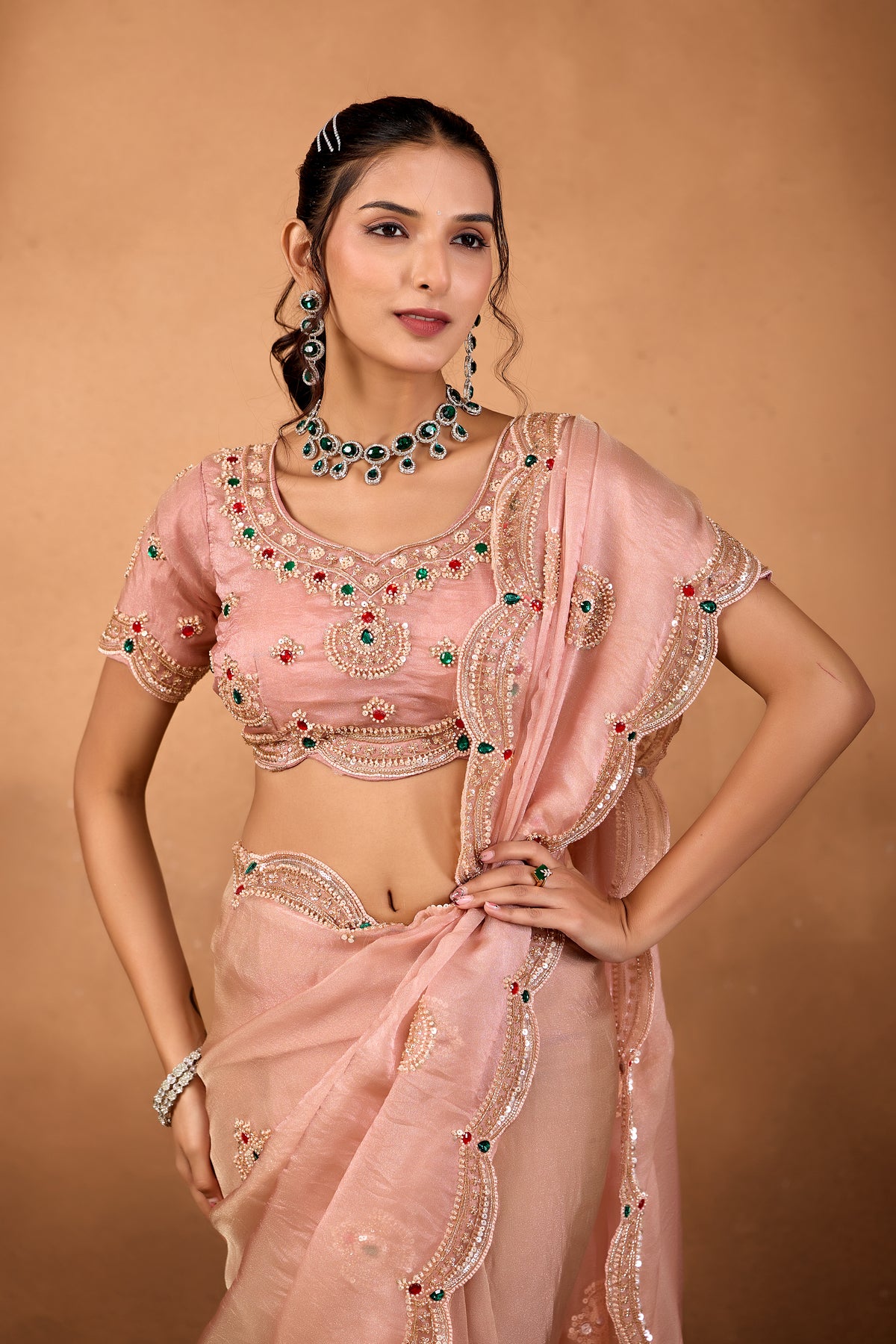 Riwaayat — Embroidered Glory Tissue Saree