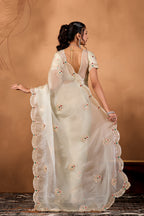 Riwaayat — Embroidered Glory Tissue Saree