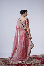 The Diwaniyat Luxe Satin Saree with Designer Border