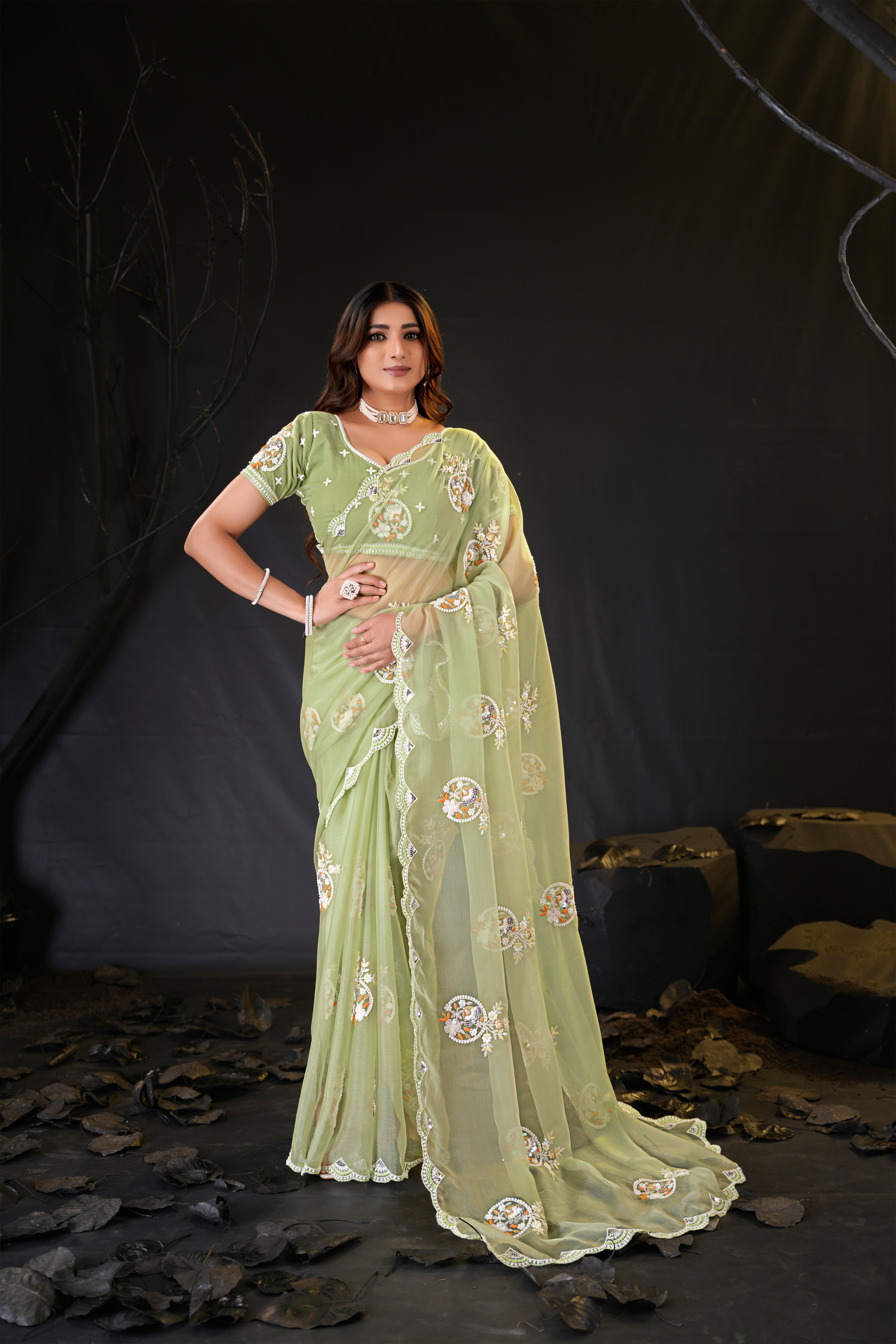 Araya — Embroidered Chiffon Saree