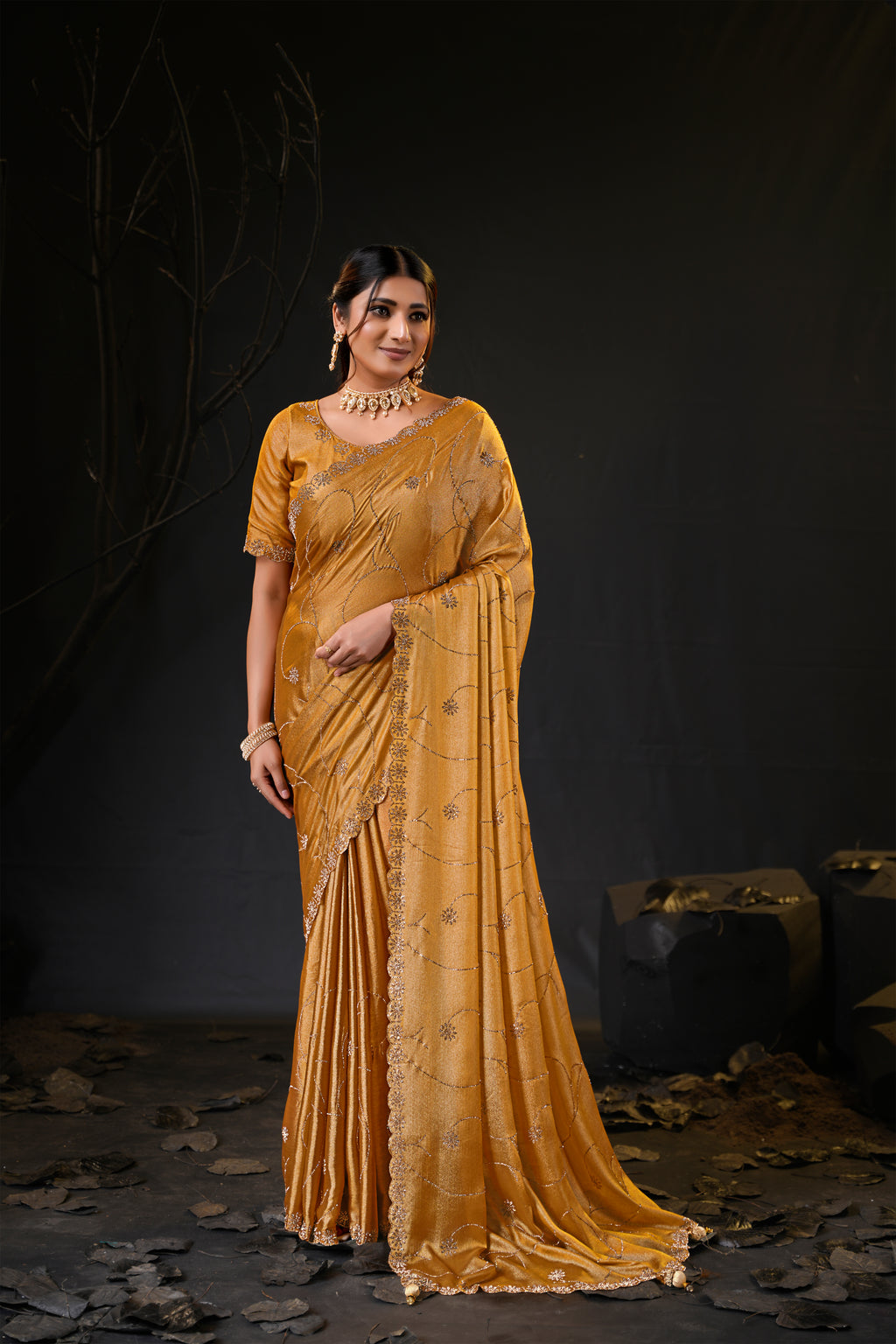 Falguni 3 Designer Saree | Shimmer Chiffon with Star Motif Embroidery, Sirosky Work & Pearl Border Drops